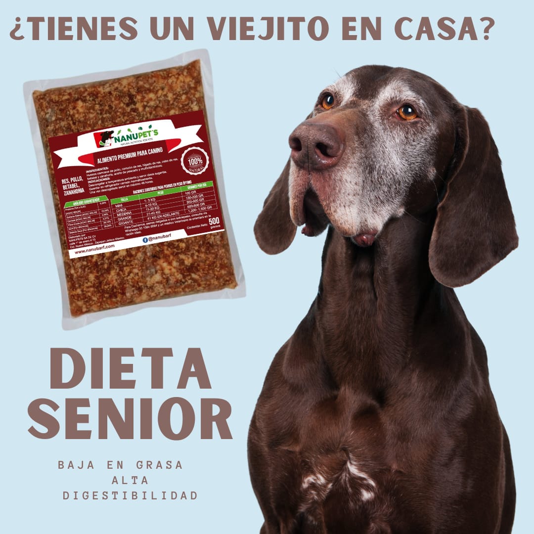 Imagen de Nanupets con alimento y un perro